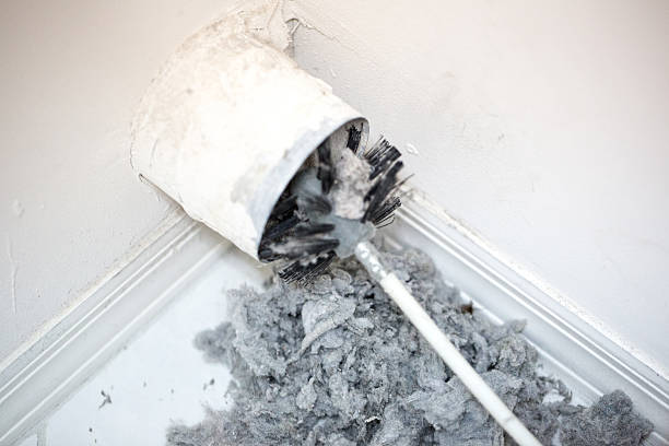 Best Affordable Duct Cleaning Services  in Nanawale Estates, HI